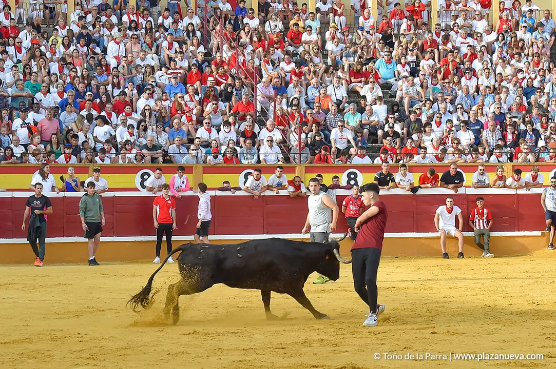 Encierro d&iacute;a 25, Fiestas de Tudela 2022 - 18