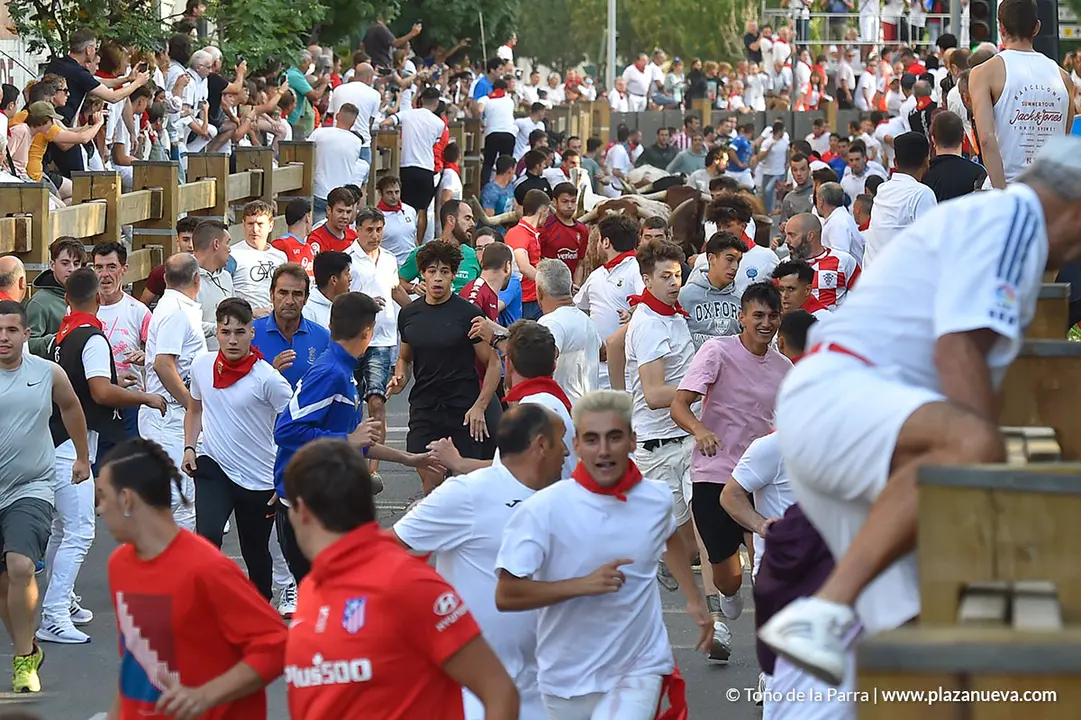 Encierro d&iacute;a 25, Fiestas de Tudela 2022 - 3