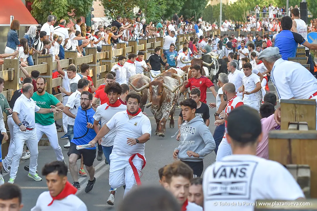 Encierro d&iacute;a 25, Fiestas de Tudela 2022 - 4