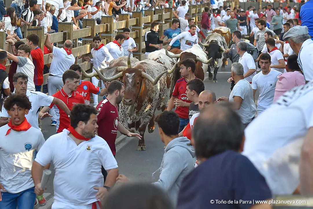 Encierro d&iacute;a 25, Fiestas de Tudela 2022 - 5