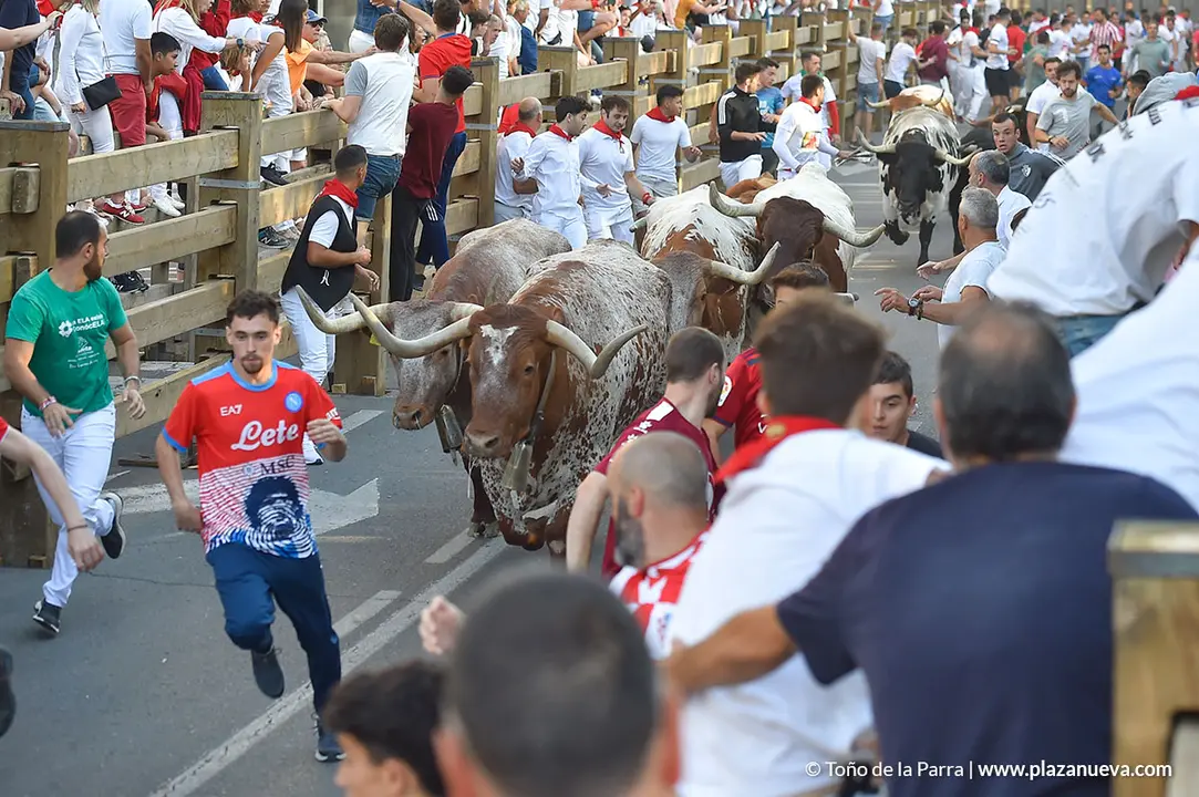 Encierro d&iacute;a 25, Fiestas de Tudela 2022 - 6