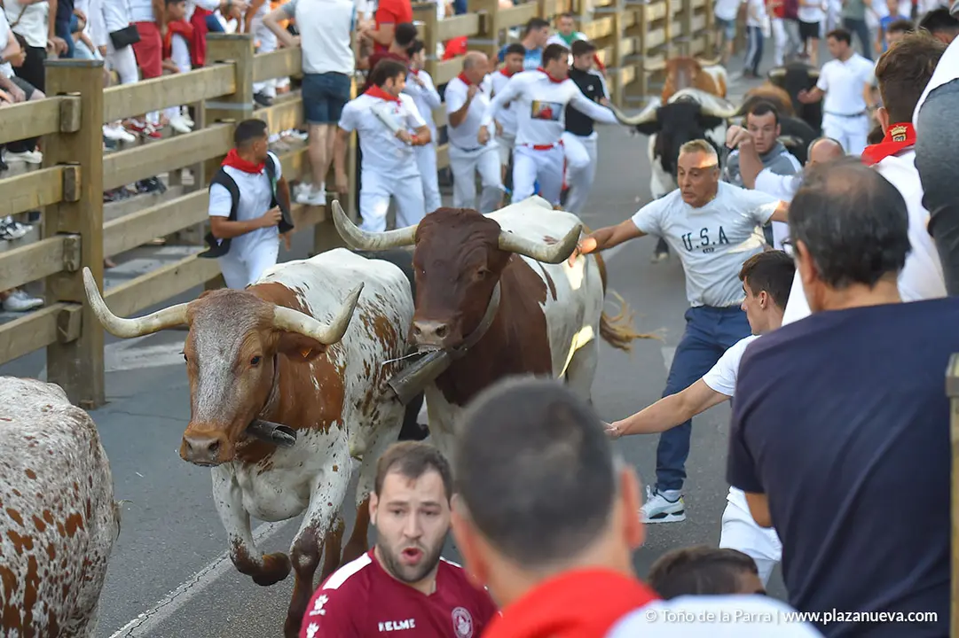 Encierro d&iacute;a 25, Fiestas de Tudela 2022 - 7