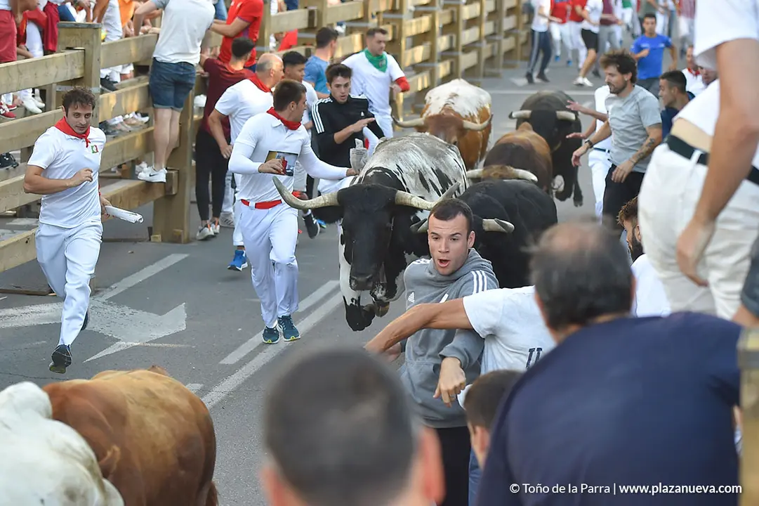 Encierro d&iacute;a 25, Fiestas de Tudela 2022 - 8