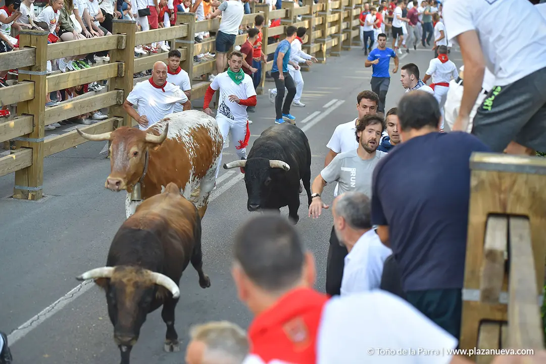 Encierro d&iacute;a 25, Fiestas de Tudela 2022 - 9