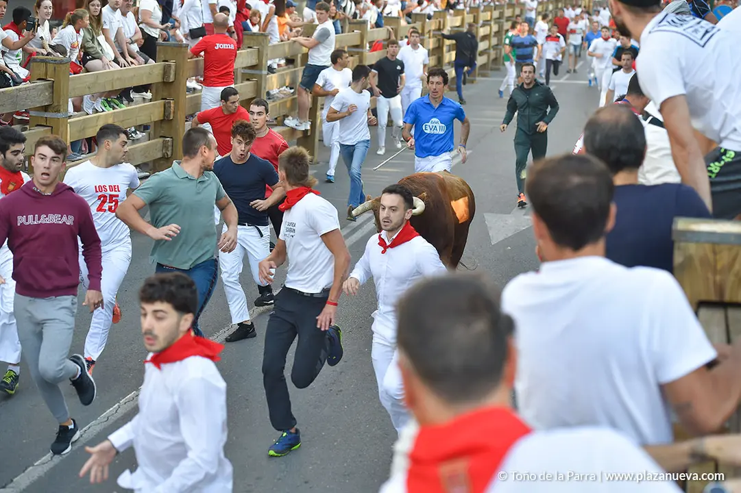 Encierro d&iacute;a 25, Fiestas de Tudela 2022 - 11