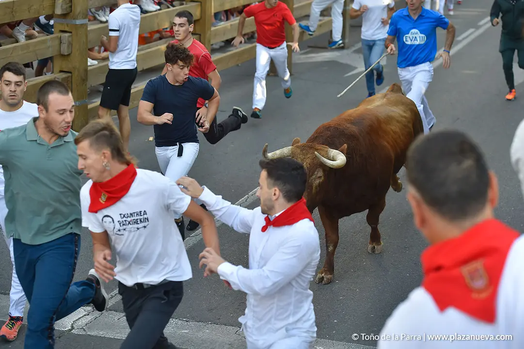 Encierro d&iacute;a 25, Fiestas de Tudela 2022 - 12
