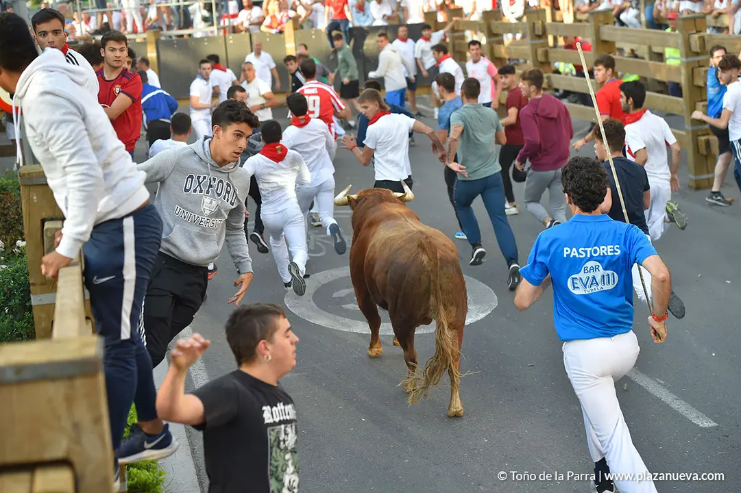 Encierro d&iacute;a 25, Fiestas de Tudela 2022 - 13
