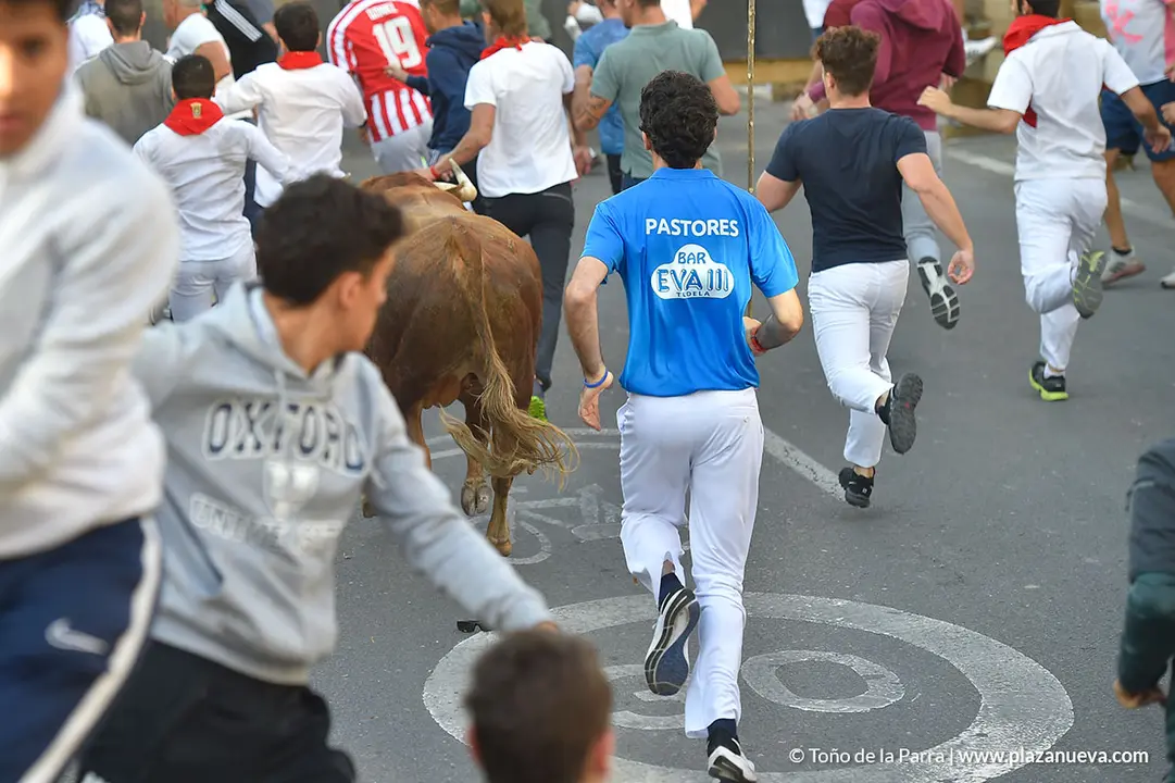 Encierro d&iacute;a 25, Fiestas de Tudela 2022 - 14
