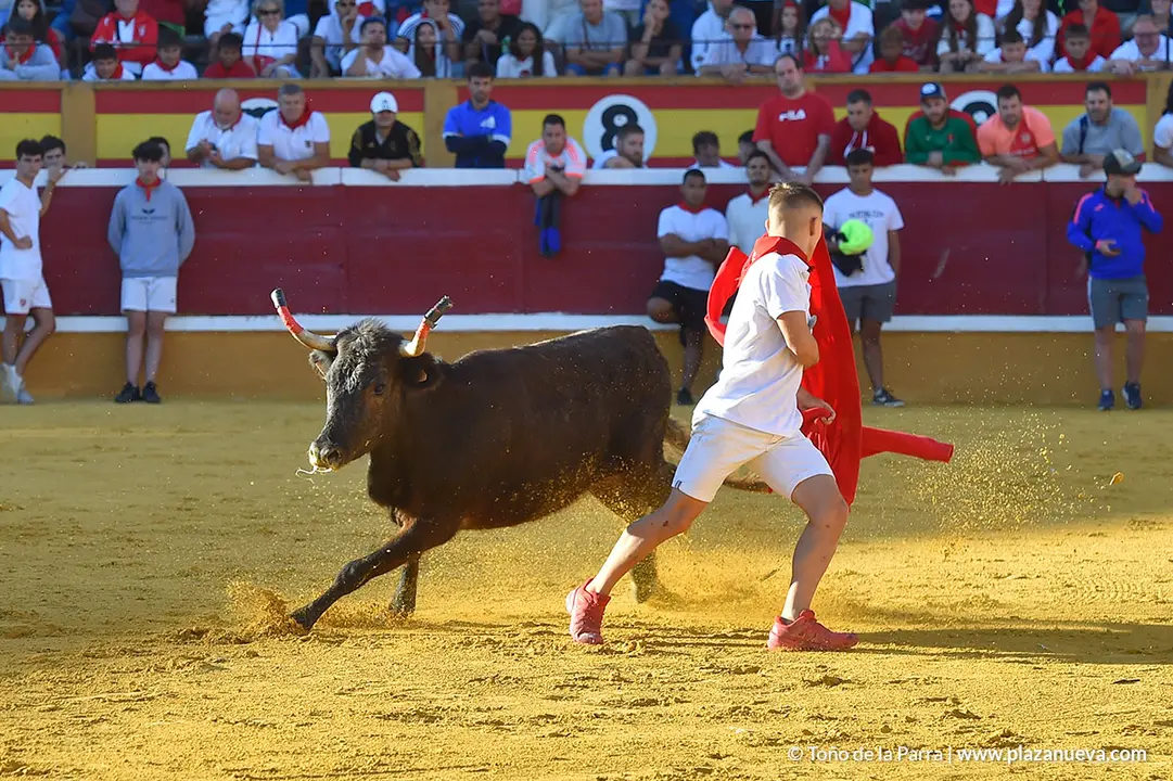 220726_FIESTAS1_114700
