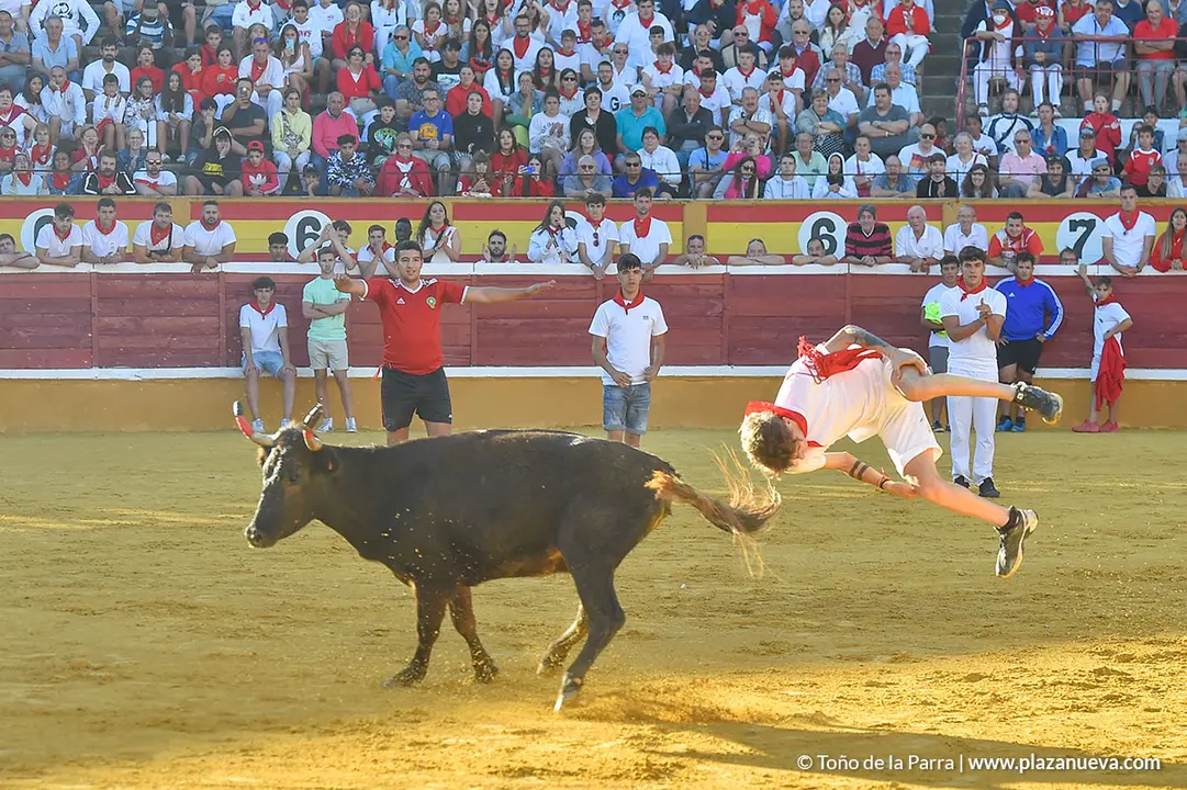 220726_FIESTAS1_114715