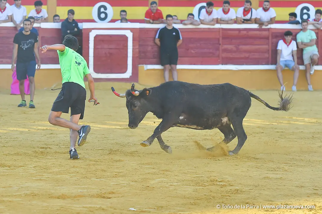 220726_FIESTAS1_114723