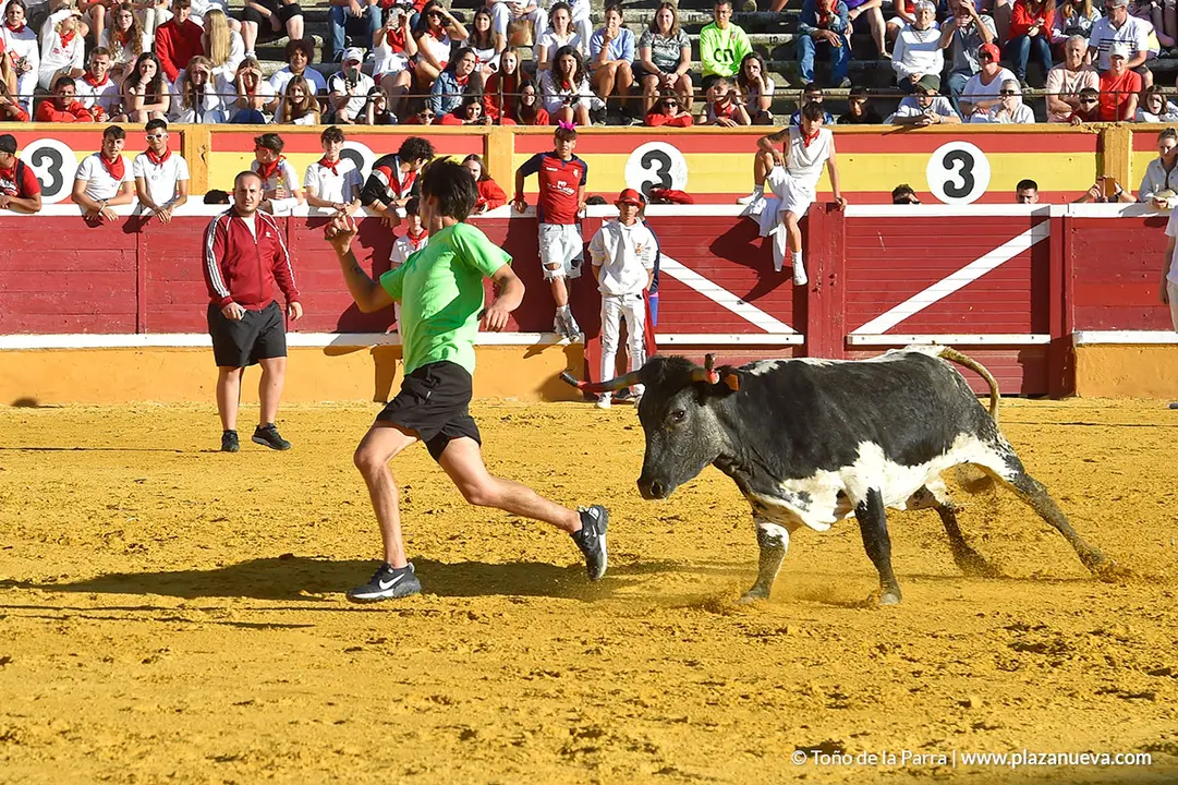 220726_FIESTAS1_114752