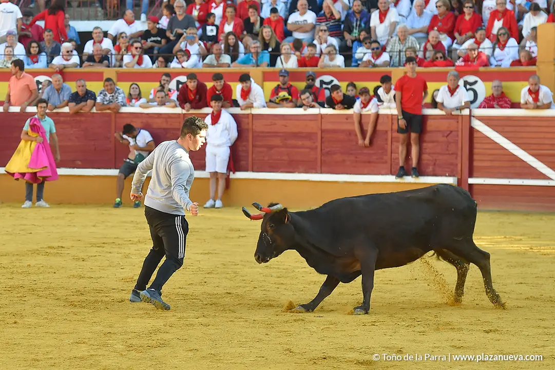 220726_FIESTAS1_114823