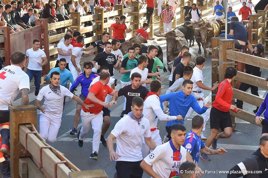 220726_FIESTAS1_114619