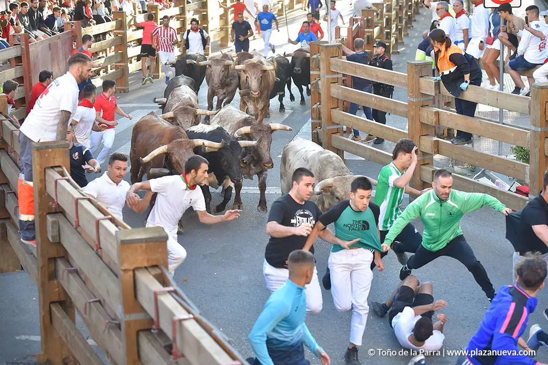 220726_FIESTAS1_114624