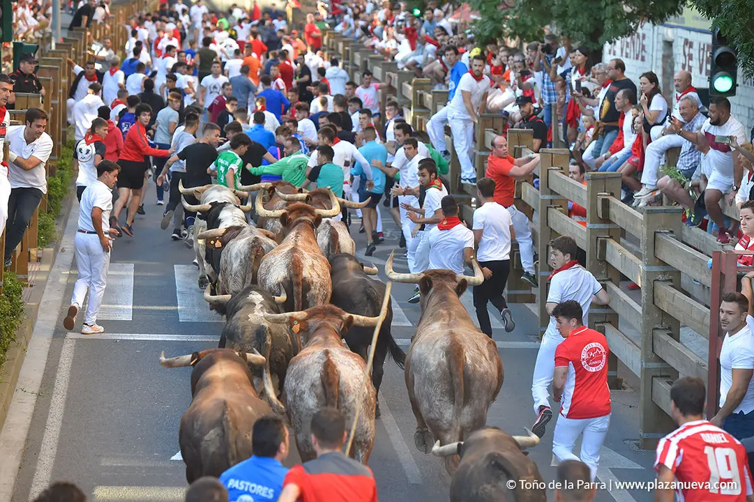 220726_FIESTAS1_114640