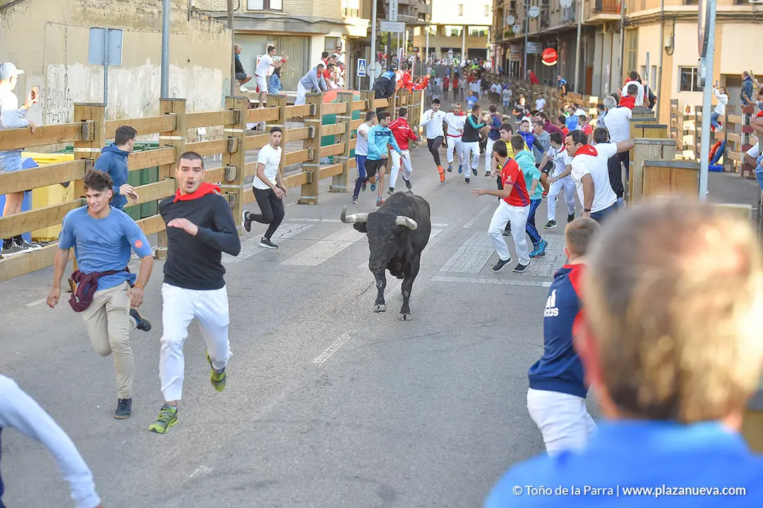 Encierro d&iacute;a 27, Fiestas de Tudela 2022 - 04
