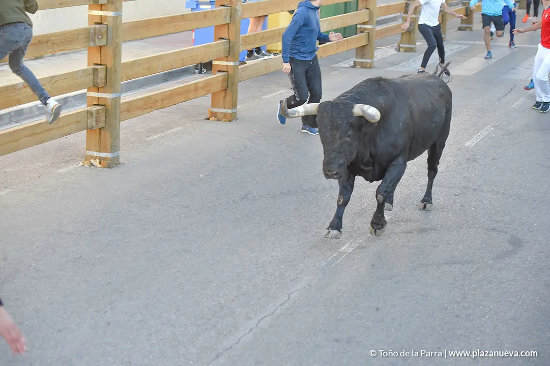 Encierro d&iacute;a 27, Fiestas de Tudela 2022 - 05