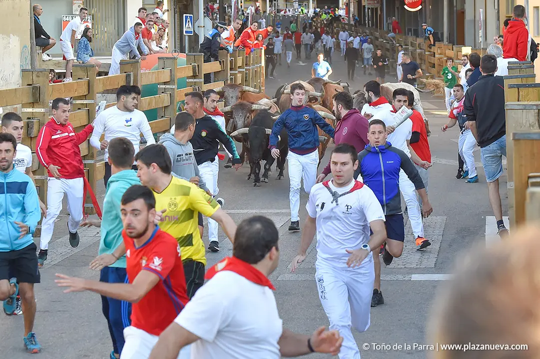 Encierro d&iacute;a 27, Fiestas de Tudela 2022 - 06