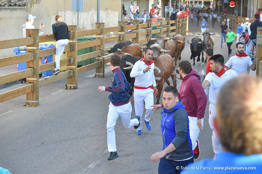 Encierro d&iacute;a 27, Fiestas de Tudela 2022 - 08