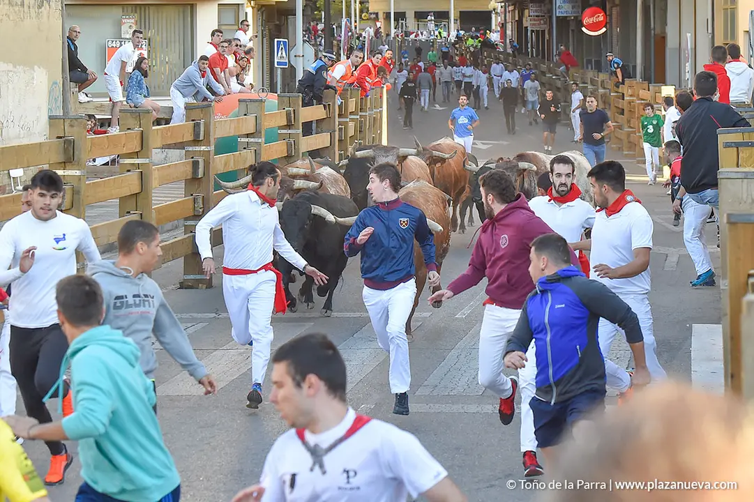 Encierro d&iacute;a 27, Fiestas de Tudela 2022 - 07