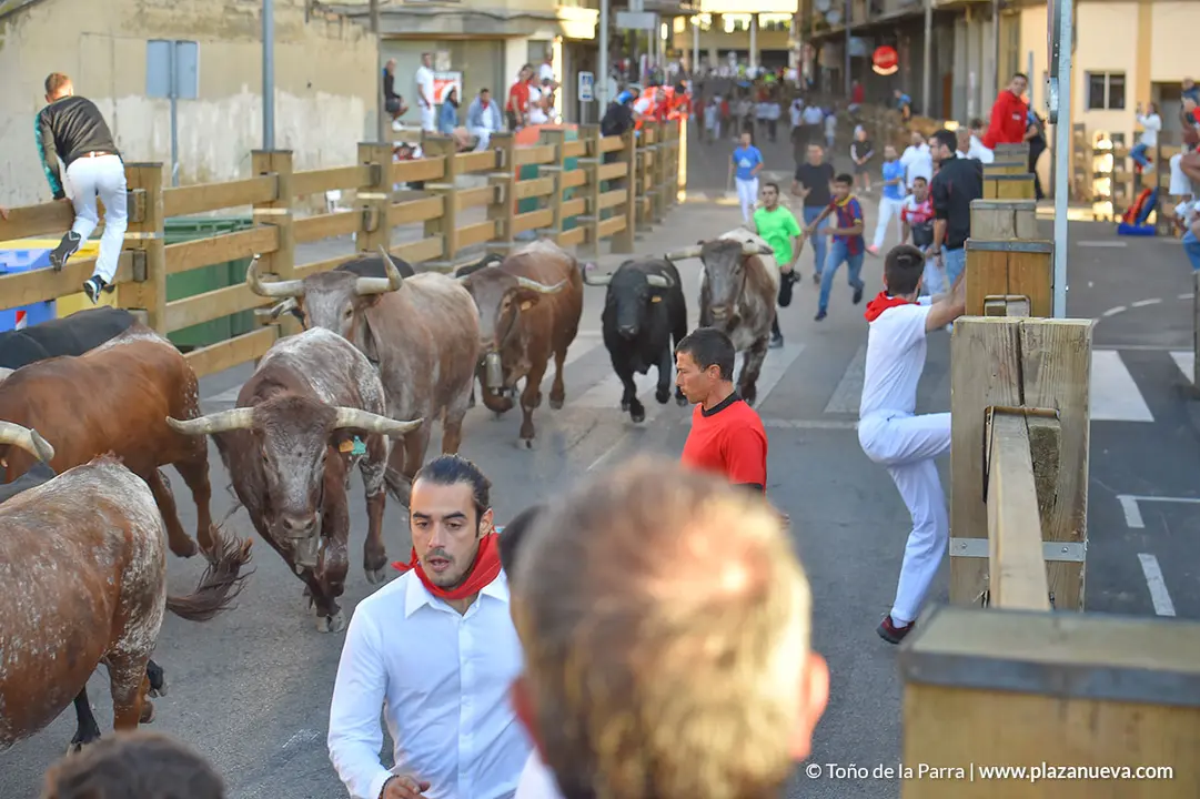 Encierro d&iacute;a 27, Fiestas de Tudela 2022 - 09