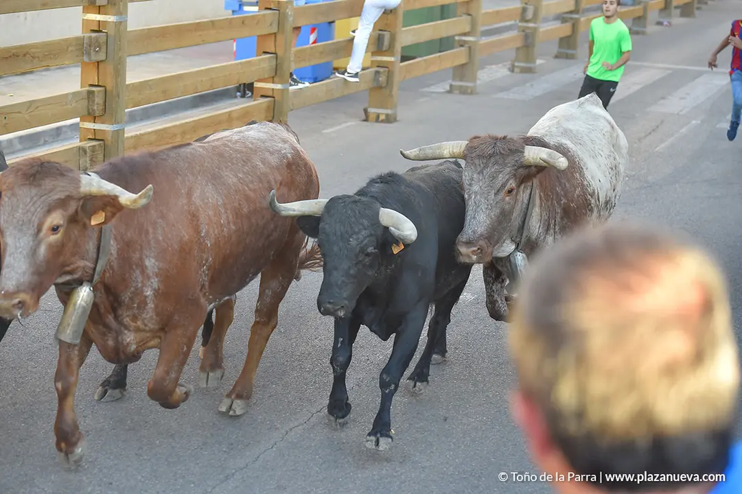 Encierro d&iacute;a 27, Fiestas de Tudela 2022 - 10