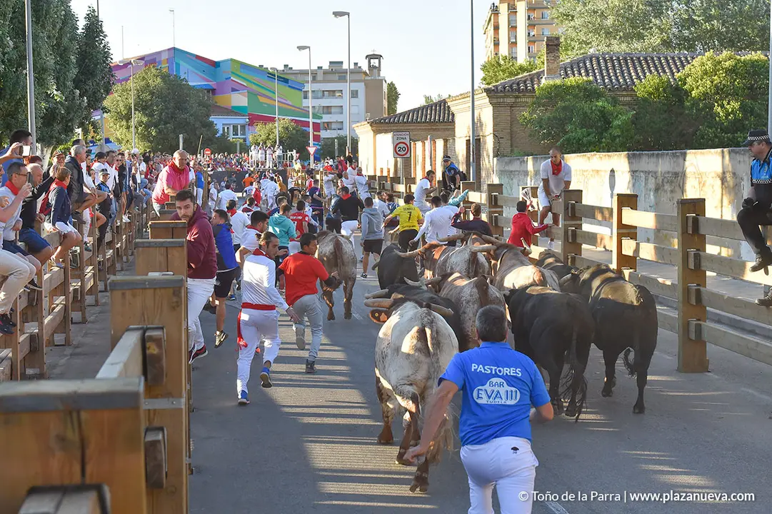 Encierro d&iacute;a 27, Fiestas de Tudela 2022 - 11