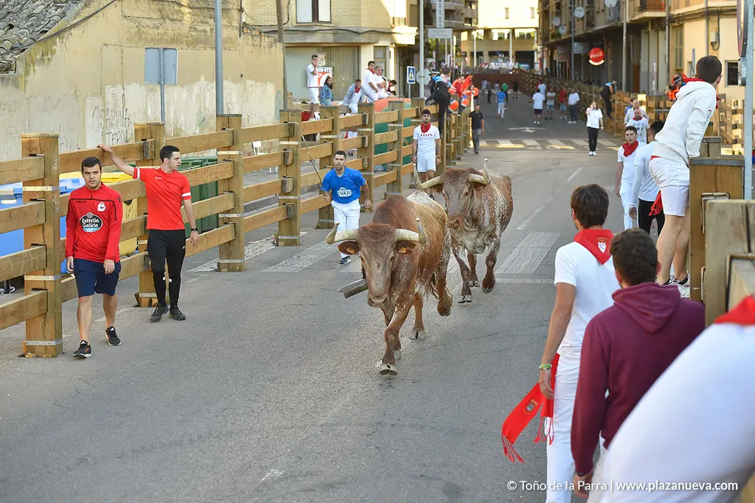 Encierro d&iacute;a 27, Fiestas de Tudela 2022 - 12