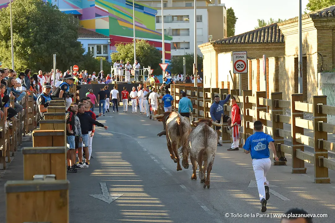 Encierro d&iacute;a 27, Fiestas de Tudela 2022 - 13