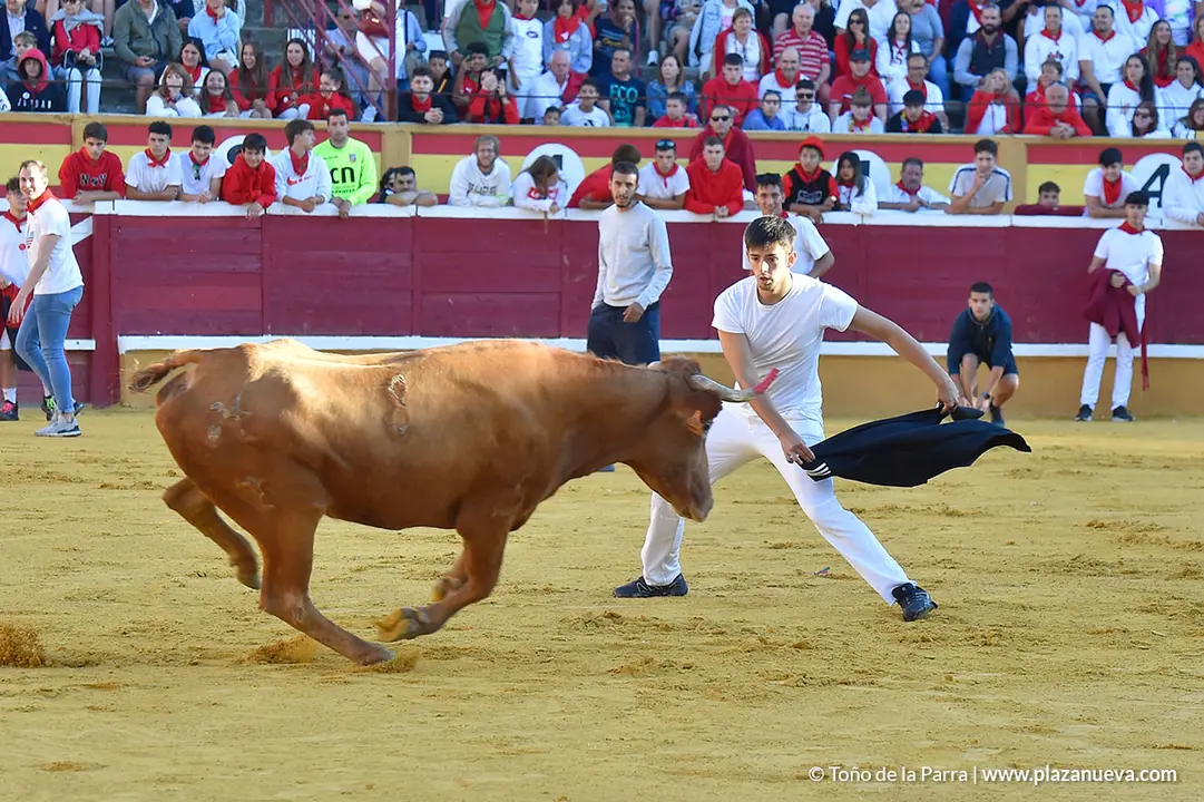 Encierro d&iacute;a 27, Fiestas de Tudela 2022 - 14