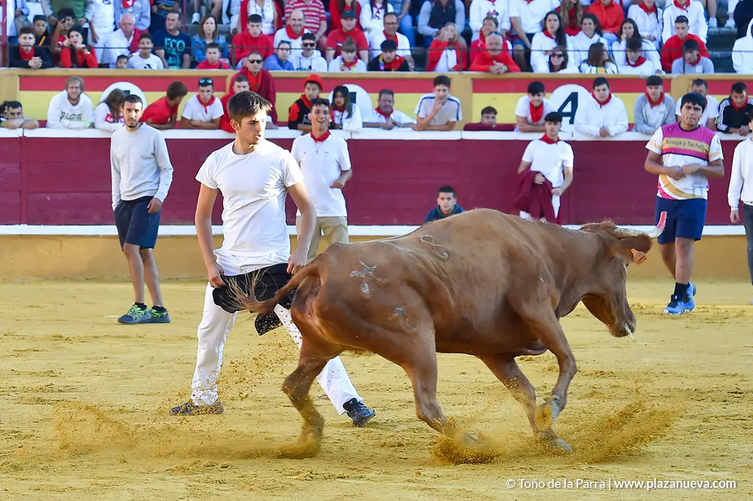 Encierro d&iacute;a 27, Fiestas de Tudela 2022 - 15