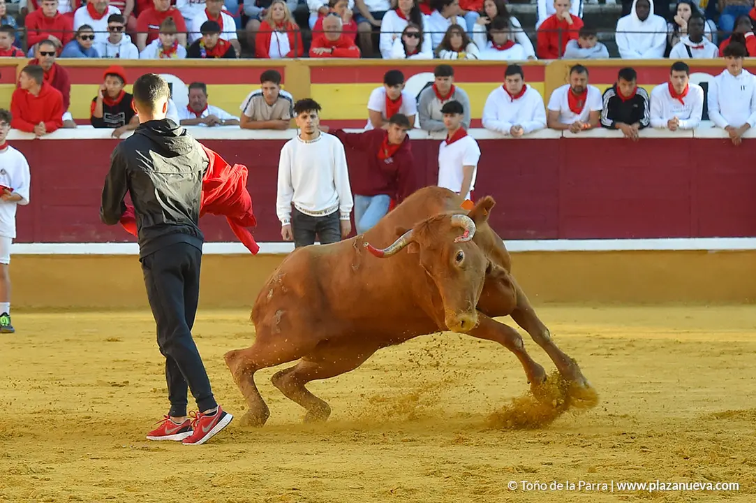Encierro d&iacute;a 27, Fiestas de Tudela 2022 - 18