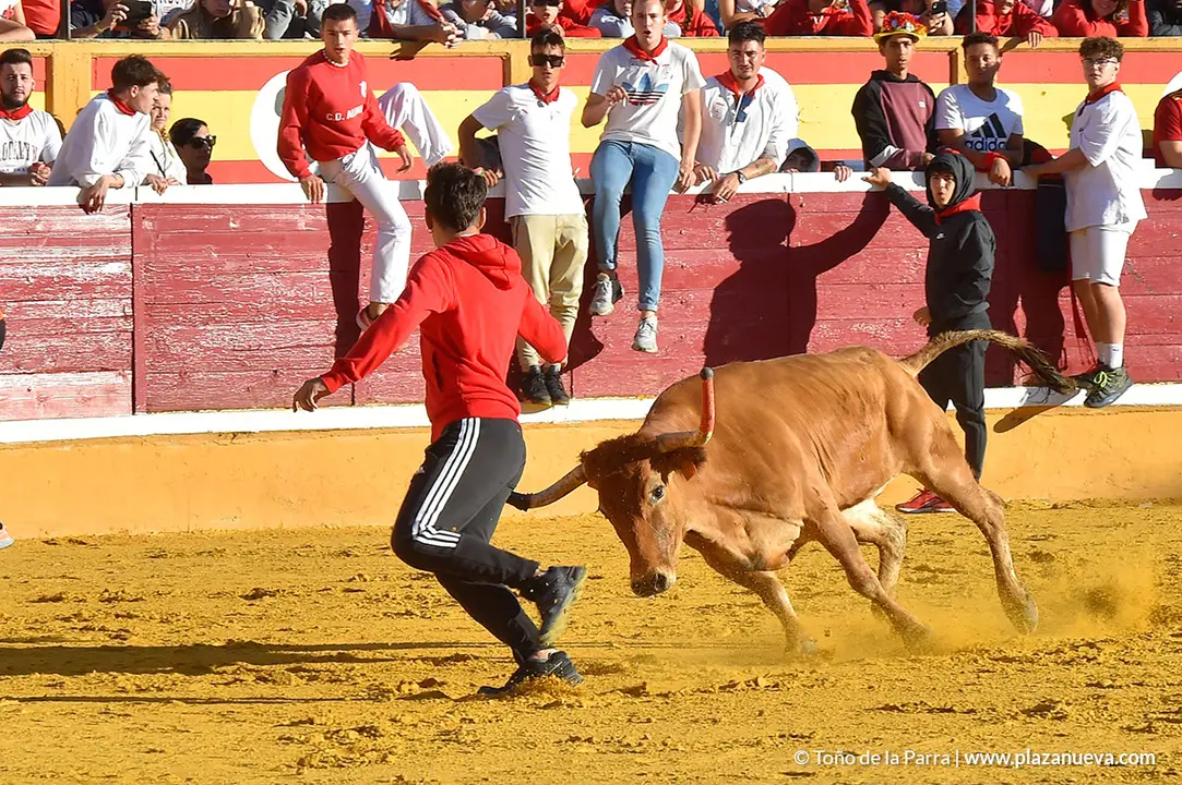 Encierro d&iacute;a 27, Fiestas de Tudela 2022 - 19