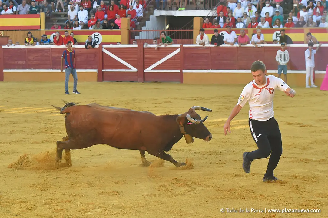 Encierro d&iacute;a 27, Fiestas de Tudela 2022 - 21