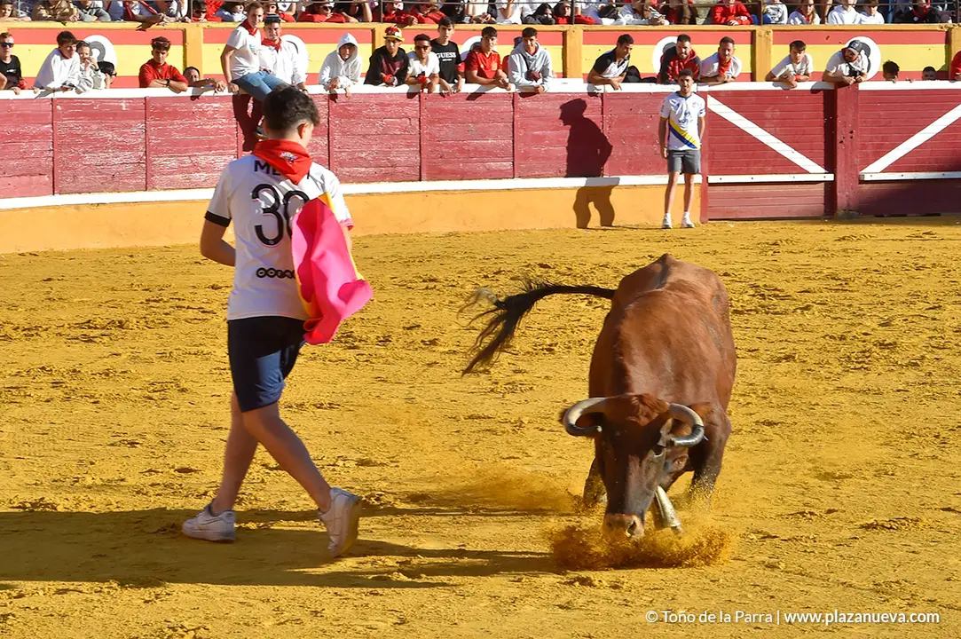 Encierro d&iacute;a 27, Fiestas de Tudela 2022 - 23