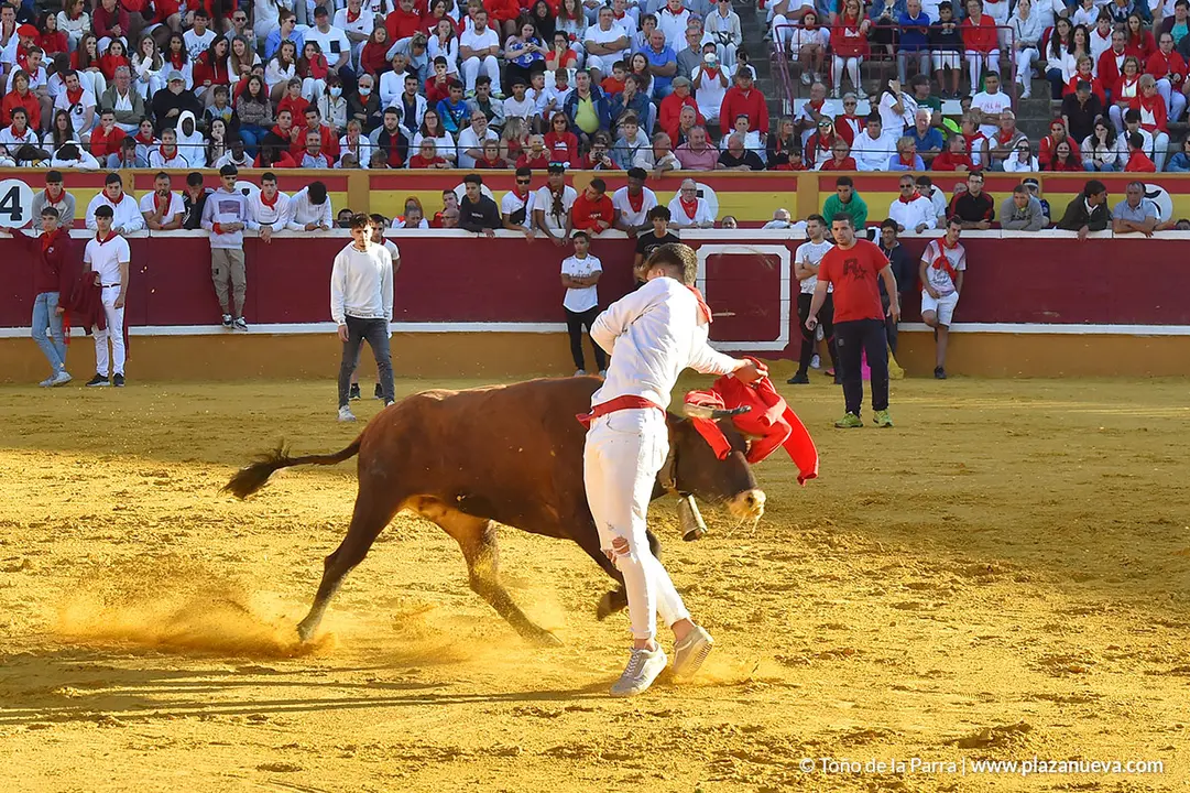 Encierro d&iacute;a 27, Fiestas de Tudela 2022 - 24