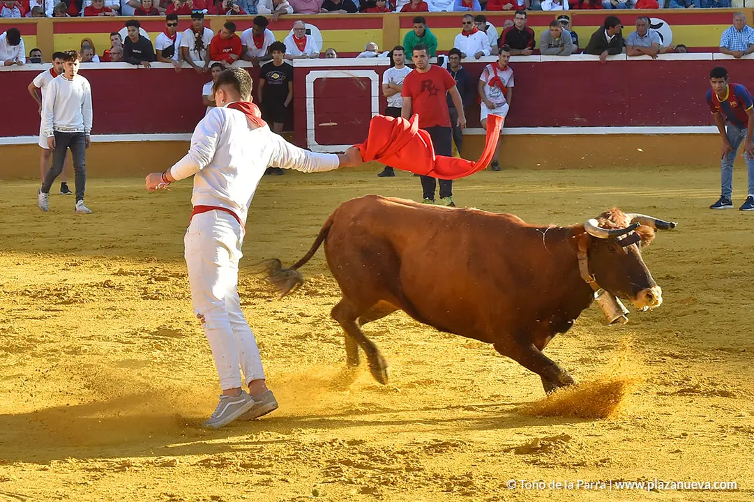 Encierro d&iacute;a 27, Fiestas de Tudela 2022 - 25