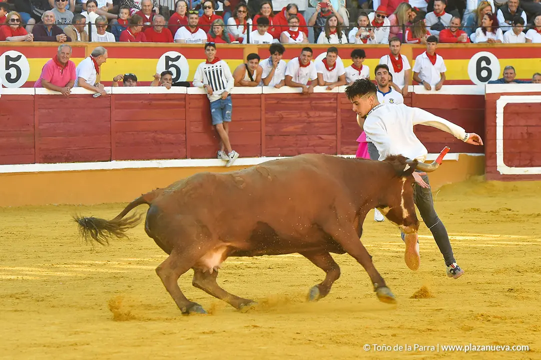 Encierro d&iacute;a 27, Fiestas de Tudela 2022 - 26