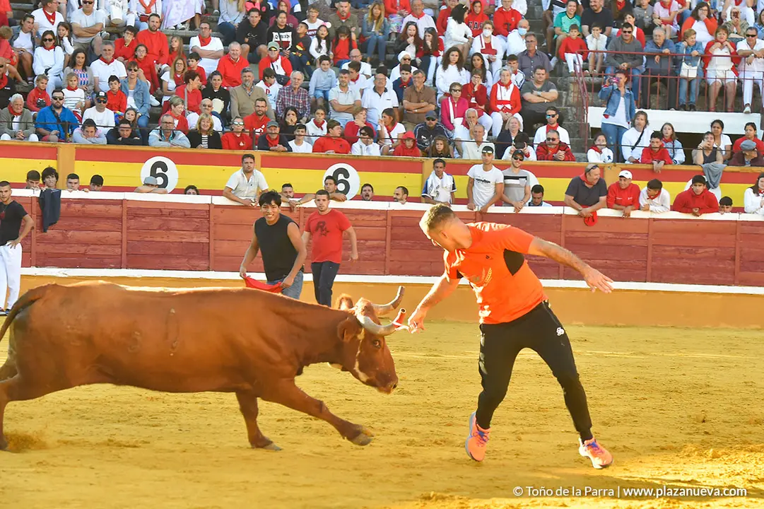 Encierro d&iacute;a 27, Fiestas de Tudela 2022 - 27
