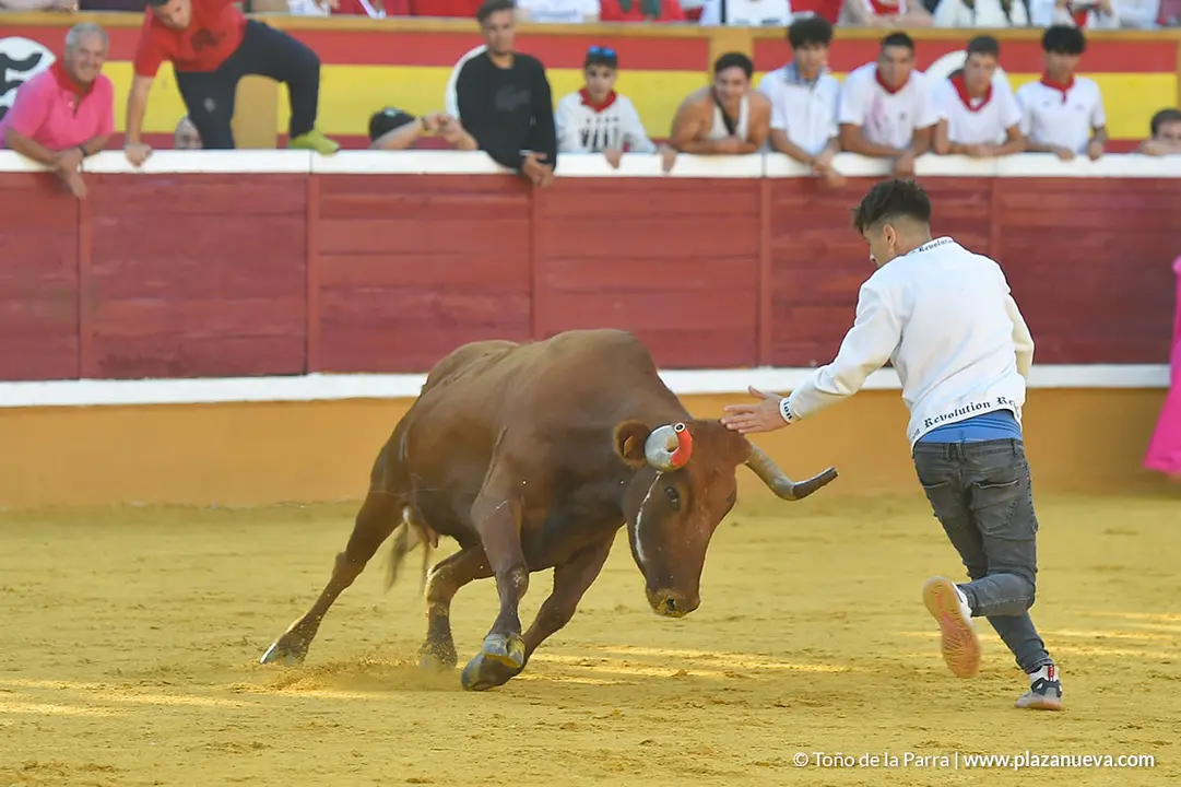 Encierro d&iacute;a 27, Fiestas de Tudela 2022 - 29