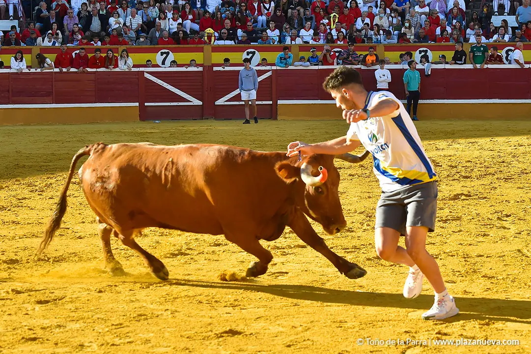 Encierro d&iacute;a 27, Fiestas de Tudela 2022 - 30