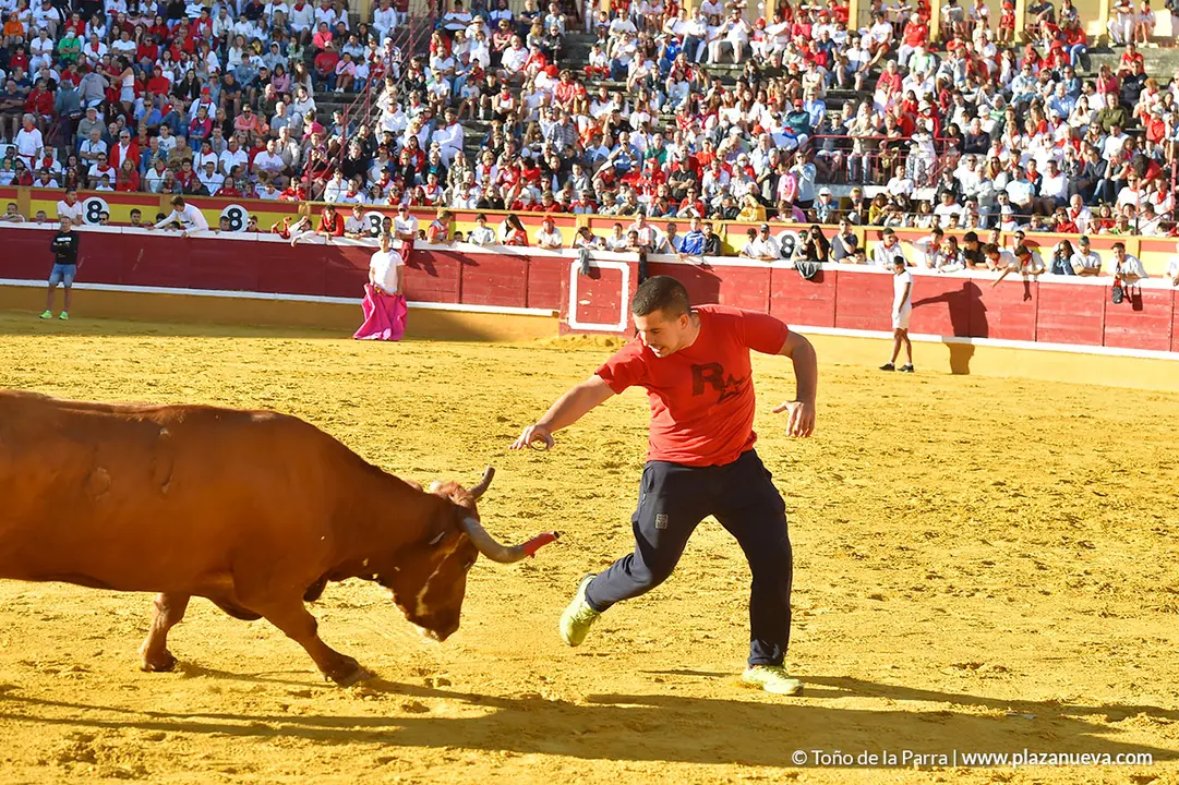 Encierro d&iacute;a 27, Fiestas de Tudela 2022 - 31