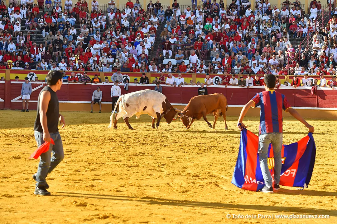 Encierro d&iacute;a 27, Fiestas de Tudela 2022 - 32