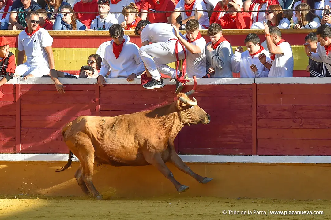 Encierro d&iacute;a 27, Fiestas de Tudela 2022 - 33