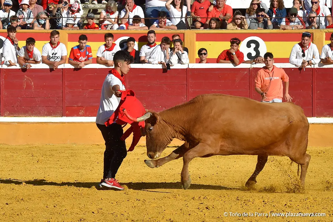 Encierro d&iacute;a 27, Fiestas de Tudela 2022 - 34