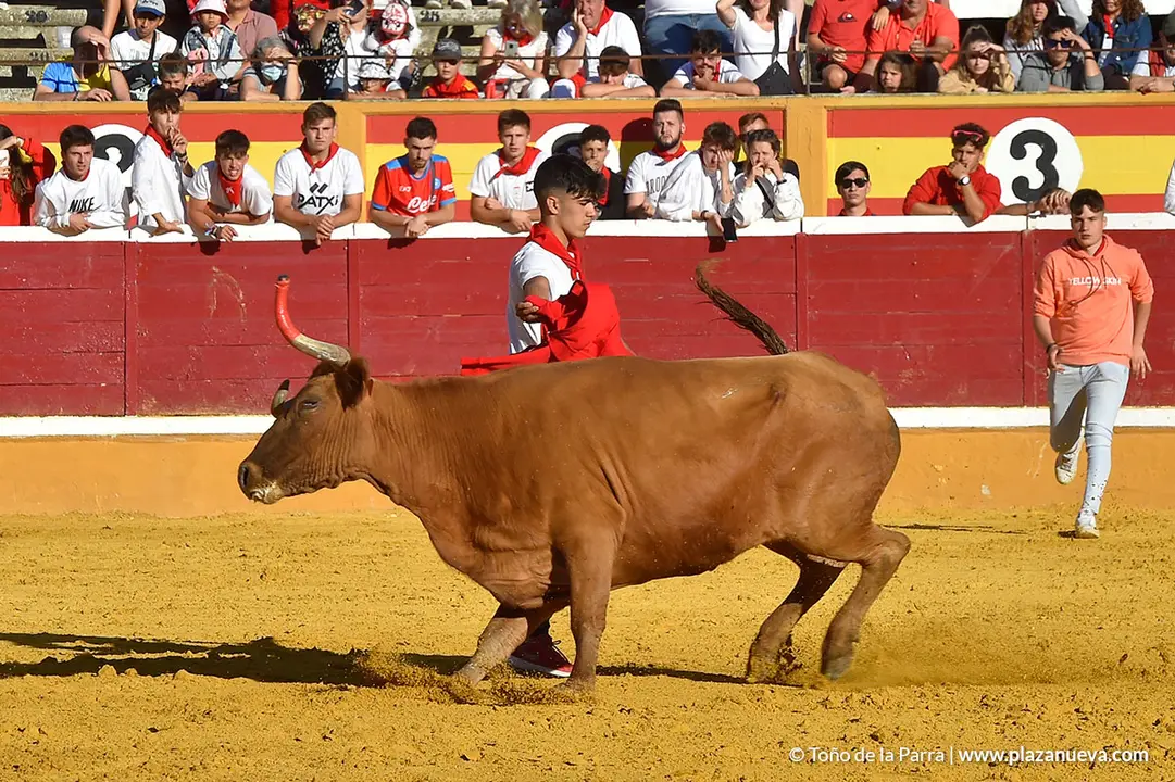 Encierro d&iacute;a 27, Fiestas de Tudela 2022 - 35