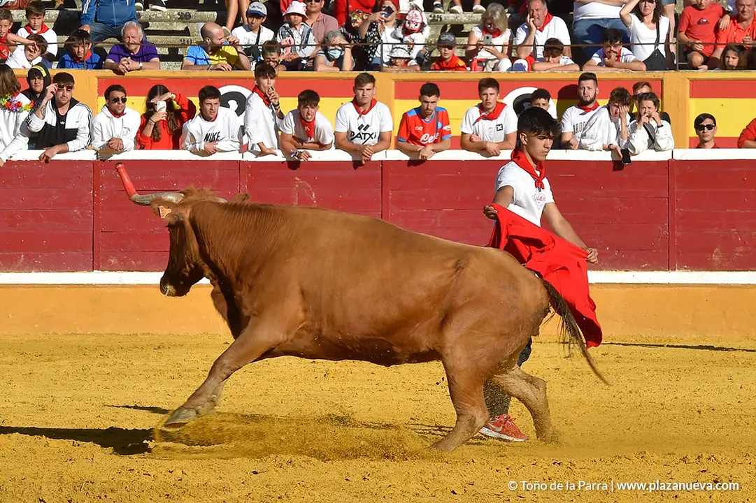 Encierro d&iacute;a 27, Fiestas de Tudela 2022 - 36