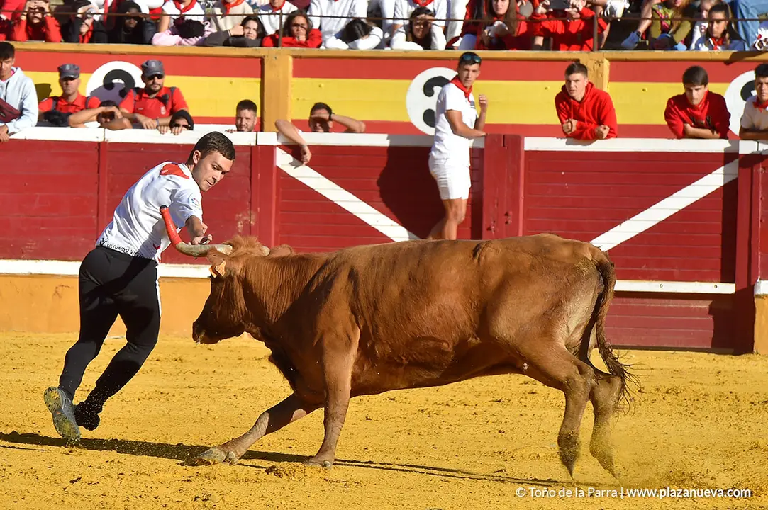 Encierro d&iacute;a 27, Fiestas de Tudela 2022 - 37