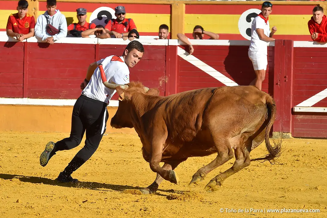 Encierro d&iacute;a 27, Fiestas de Tudela 2022 - 38